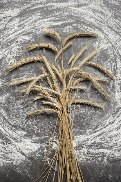 Ears of wheat and flour on gray