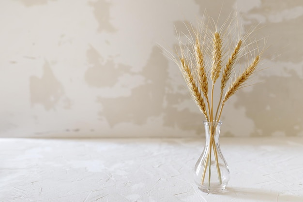 Ears of wheat in a glass vase on a light background The concept of the Israeli holiday Shavuot Place for text