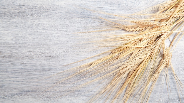 Ears of wheat grains on the white table.