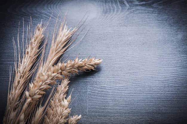 Ears of wheat and rye on wood board