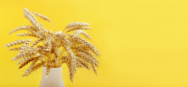 Ears of wheat in a vase on yellow background