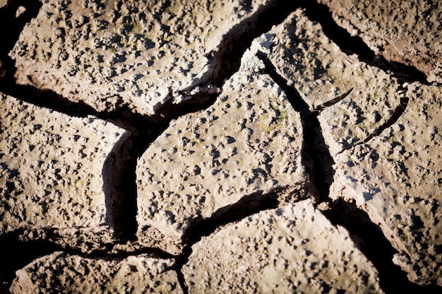 Earth cracked by drought.