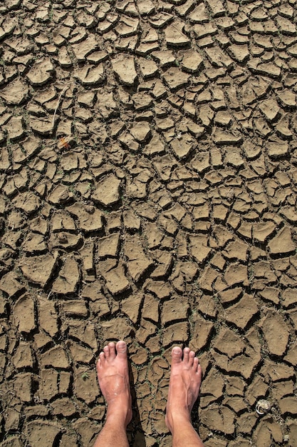 Earth or Ground Cracks