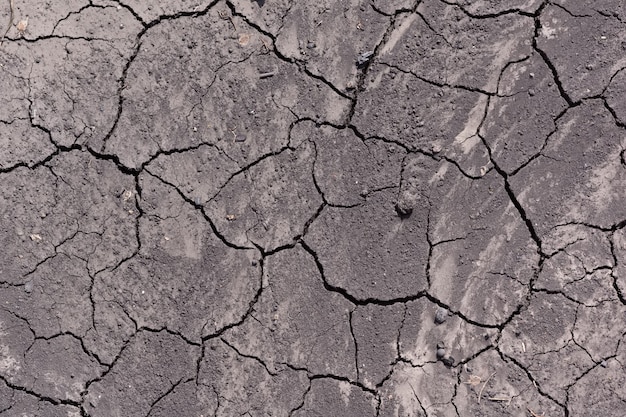 The earth is covered with large cracks from lack of moisture and drought