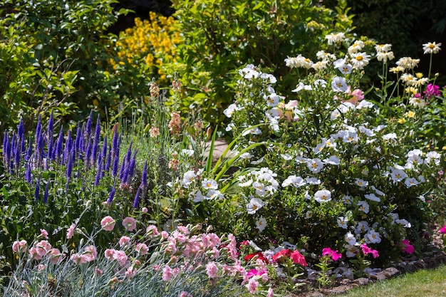 An East Grinstead Garden in Full Bloom