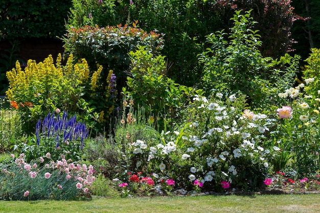 An East Grinstead Garden in Full Bloom