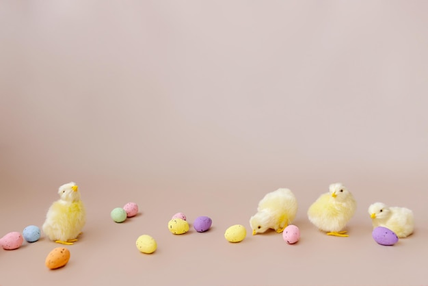 Easter background with easter chicks and eggs Easter decor