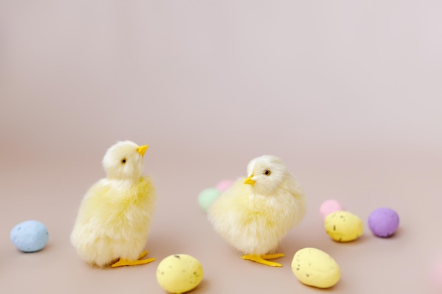 Easter background with easter chicks and eggs easter decor