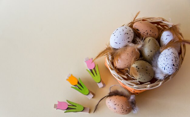 Easter background with eggs, flower and feathers in basket.