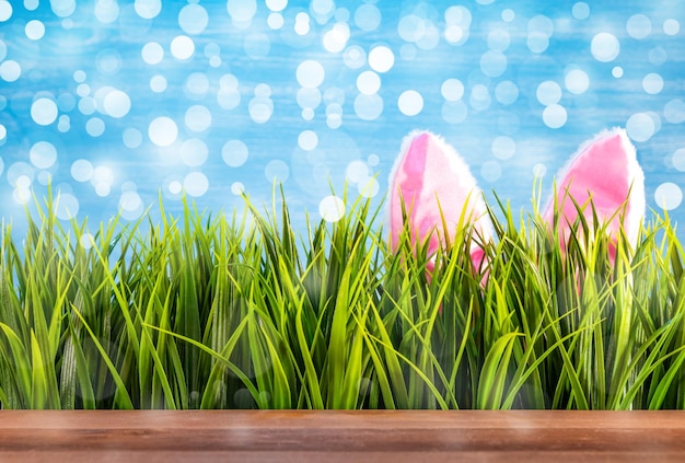 Easter background with green grass and bunnie ears