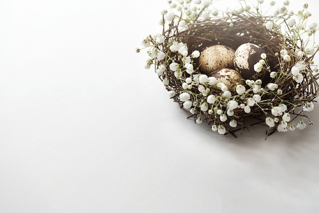 Easter bird nest with eggs decorated with white flowers on white background