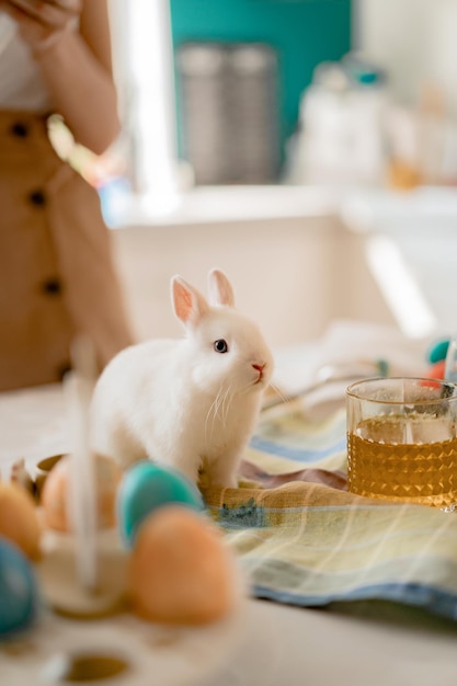 Easter bunny, colored eggs, preparation for the holiday Easter.