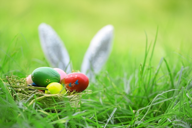 Easter bunny and Easter eggs on grass ear rabbit on field 