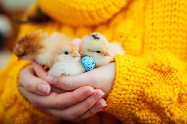 Easter chicken. Woman holding three orange chicks in hand surrounded with colorful Easter eggs.