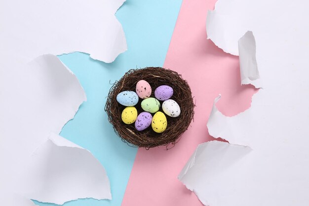 Easter composition from the nest with colored eggs on bluepink background with torn paper Concept art Pastel color trend Top view