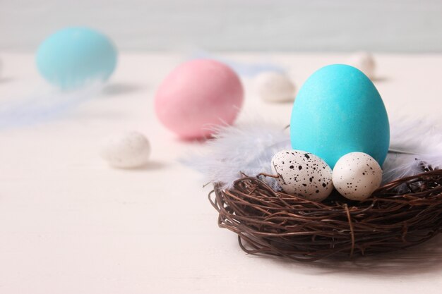 Easter composition of painted eggs and feathers on a colored background