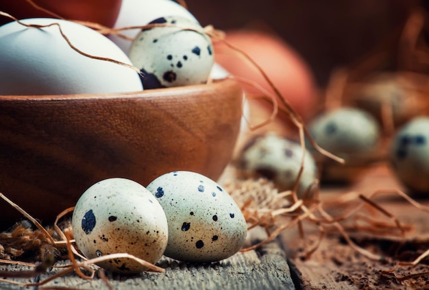 Easter composition with colorful chicken and quail eggs in rustic style vintage wooden background selective focus