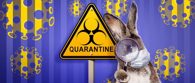 Photo easter composition with coronavirus theme easter quarantine