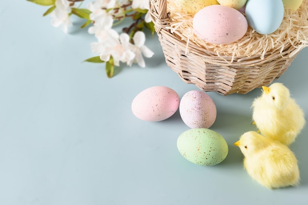 Easter composition with pastel eggs and blossom spring flowers for happy holiday