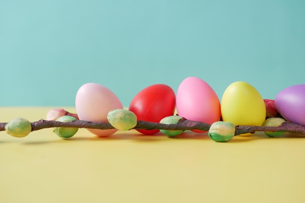 Easter concept with multi color egg on color background