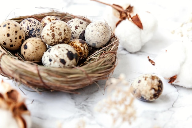 Easter decoration with egg in nest and cotton on white marble background