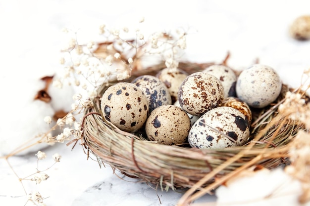 Easter decoration with egg in nest and cotton on white marble background