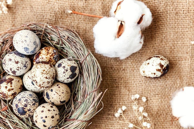 Easter decoration with egg in nest and cotton on white marble background