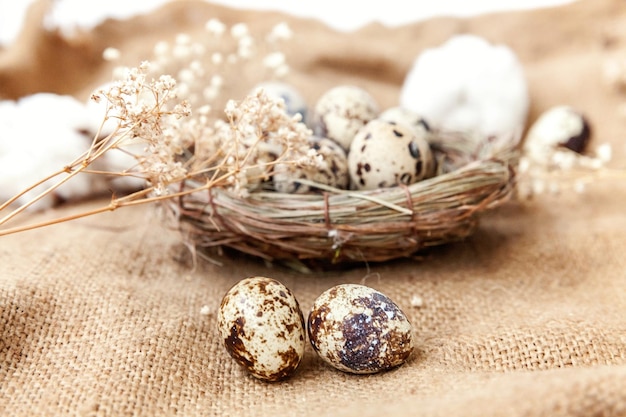 Easter decoration with egg in nest and cotton on white marble background