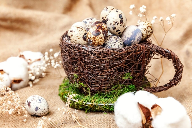 Easter decoration with egg in nest and cotton on white marble background