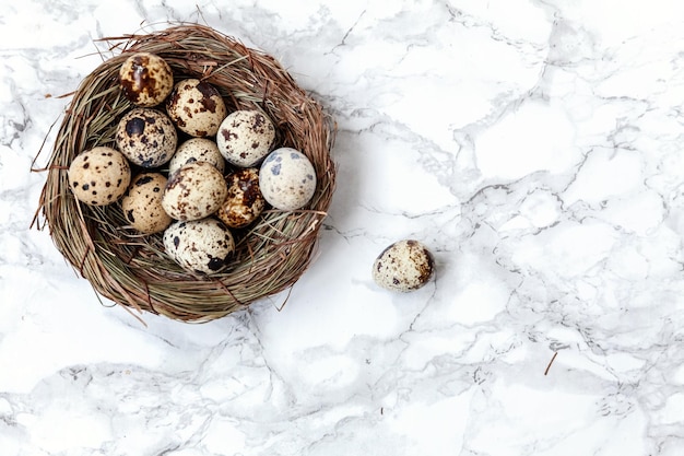 Easter decoration with egg in nest on white marble background