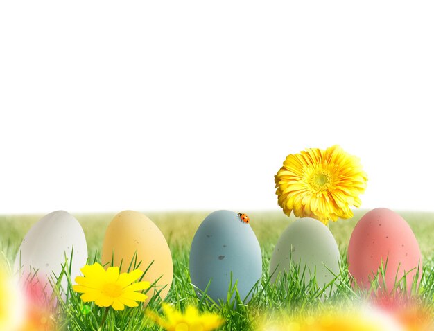 Easter decorations with colored eggs on meadow with flowers