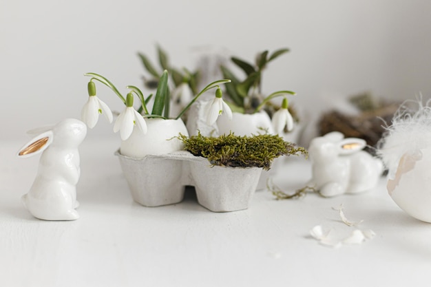 Easter egg shells with blooming snowdrops bunny figurines feathers nest on white wooden table