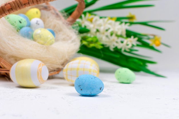 Easter eggs on the background of a basket with Easter eggs and flowers of daffodils