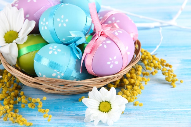 Easter eggs in basket and mimosa flowers on blue wooden background