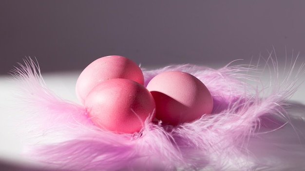 Easter eggs in a beautiful and simple composition with decorations