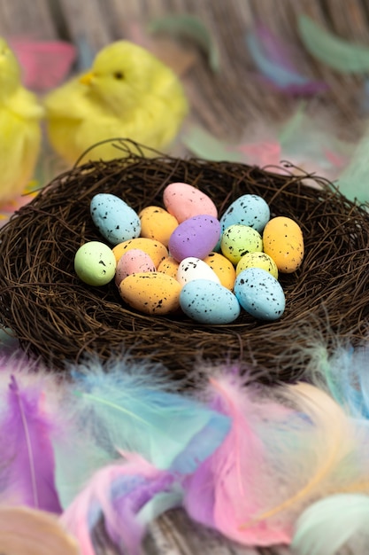 Easter eggs in a bird's nest pastel colors