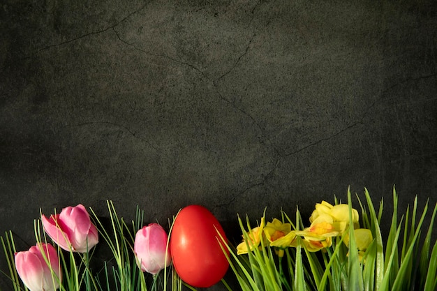 Easter eggs on fresh green grass against grey concrete background colorful pink tulips and yellow da