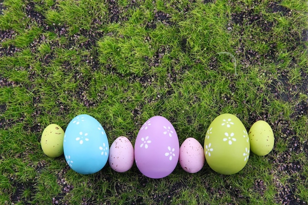 Easter eggs on green grass background