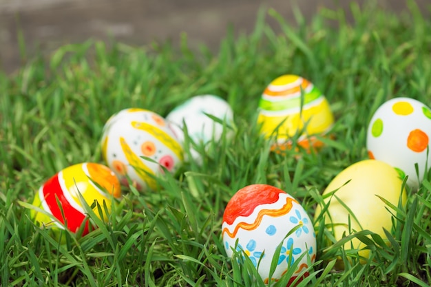 Easter eggs hiding in the grass