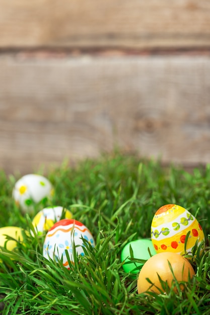 Easter eggs hiding in the grass