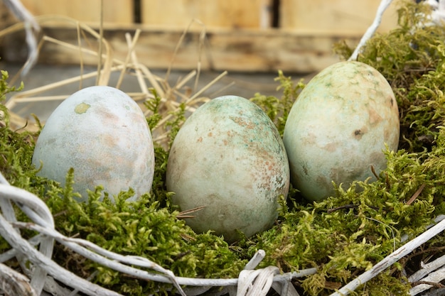 Easter eggs in a moss nest on a wooden table.