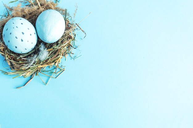 Easter eggs in a nest of grass. Blue background. Copy space