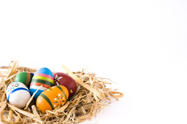 Easter eggs in a nest isolated on white surface Copyspace