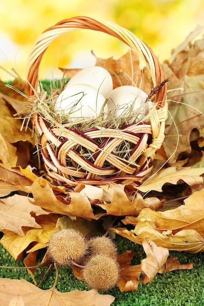 Easter eggs in wicker basket hidden in leaves