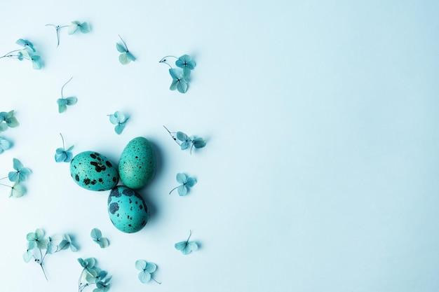 Easter greeting card three quail eggs with hydrangea flowers on a blue background