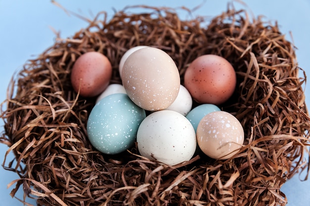 Easter holiday colorful eggs in the nest for traditional celebration