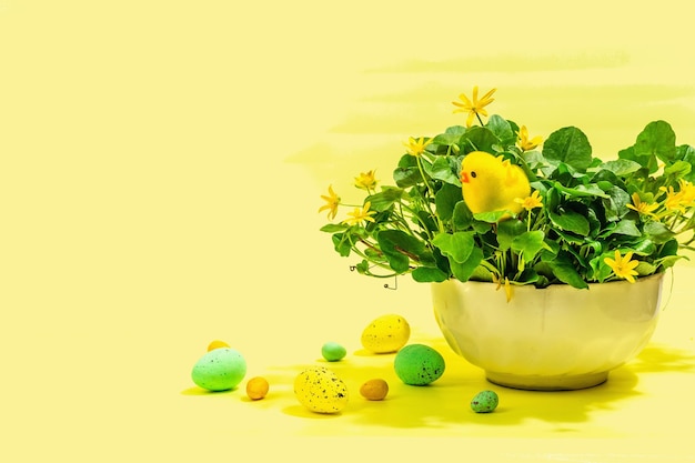 Easter holiday composition Fresh flowers in a pot eggs and themed decor