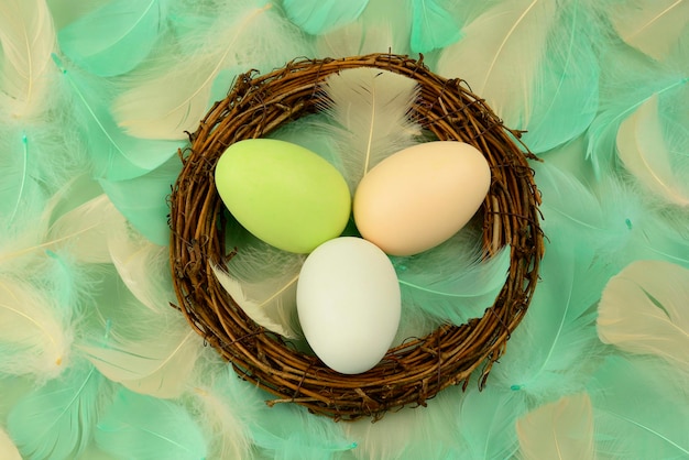 Easter painted eggs in a nest against background of green white feathers top view Easter wallpaper