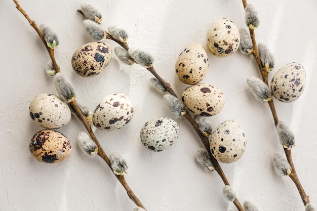 Easter quail eggs in nest and willow branch on white background