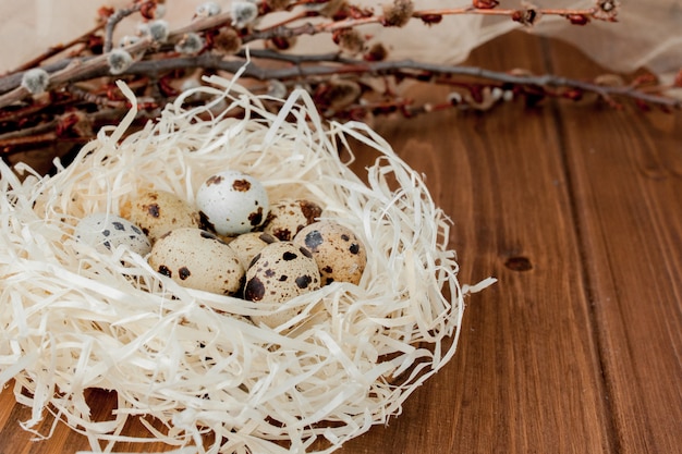 Photo easter quail eggs in nest and willow branch on a wooden background, copy space